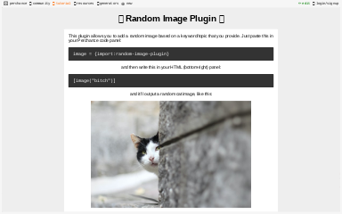 🖼 Random Image Plugin 📷